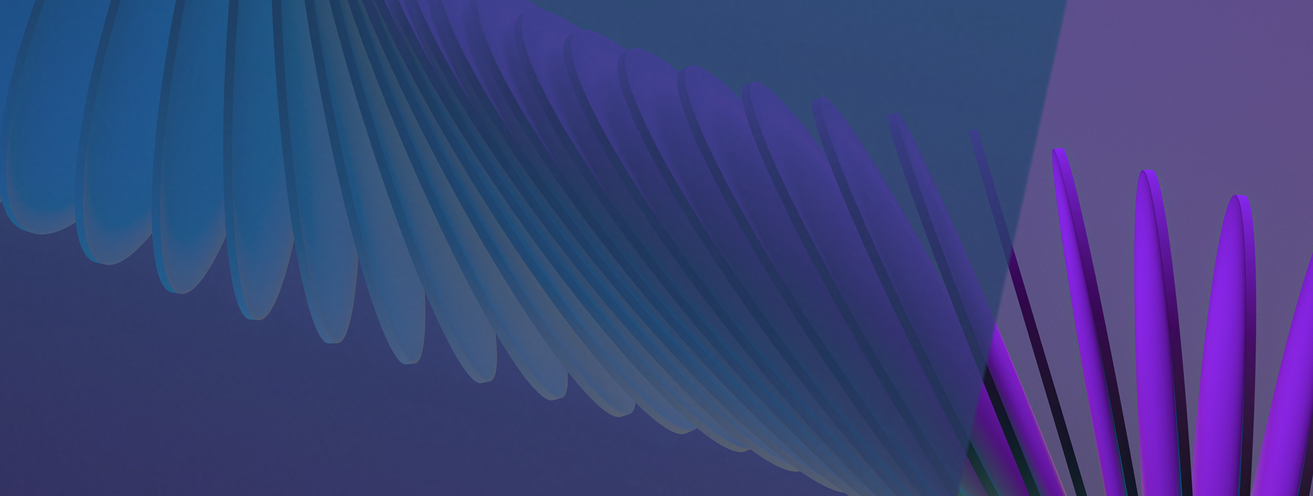 Evolvehero (2)
